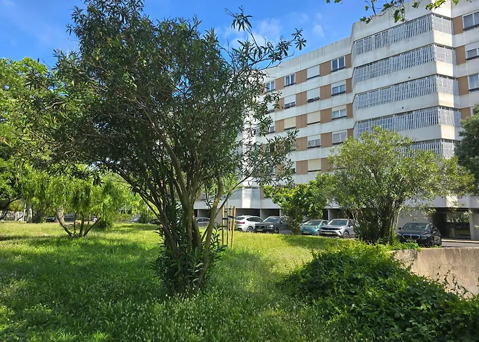 Applause Daire Oeiras